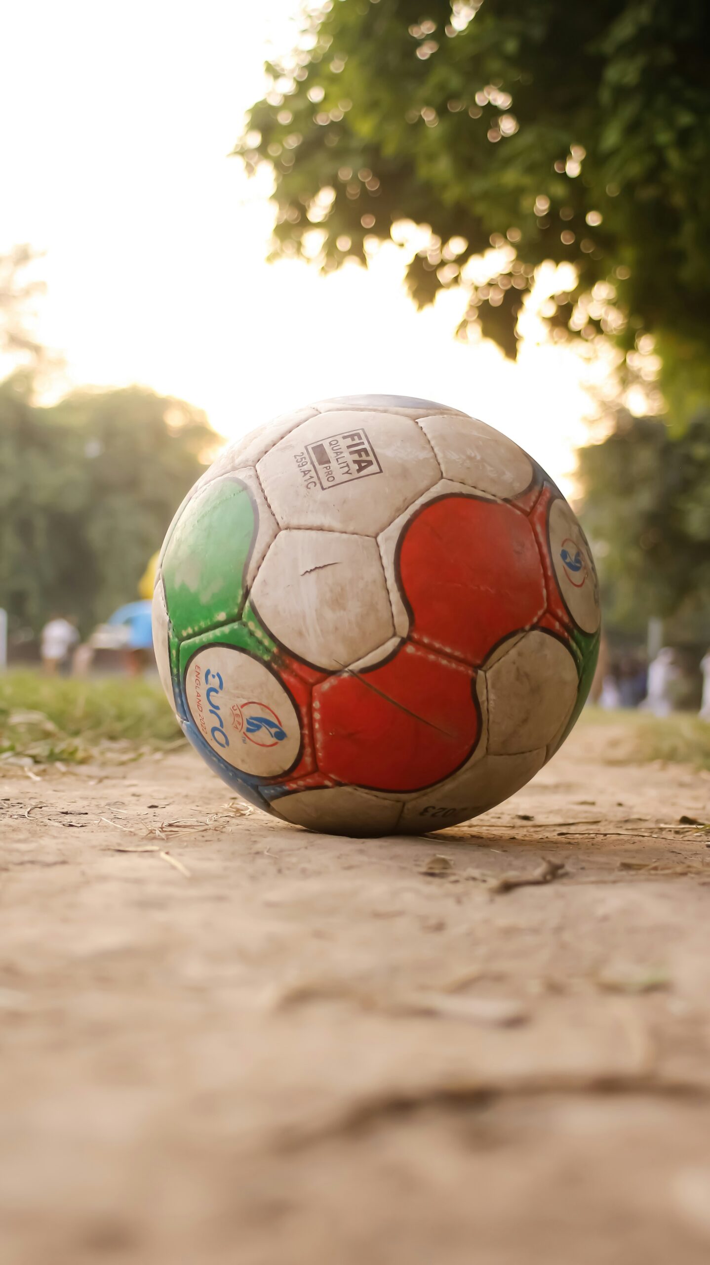 The Impact of Sports on Youth Development