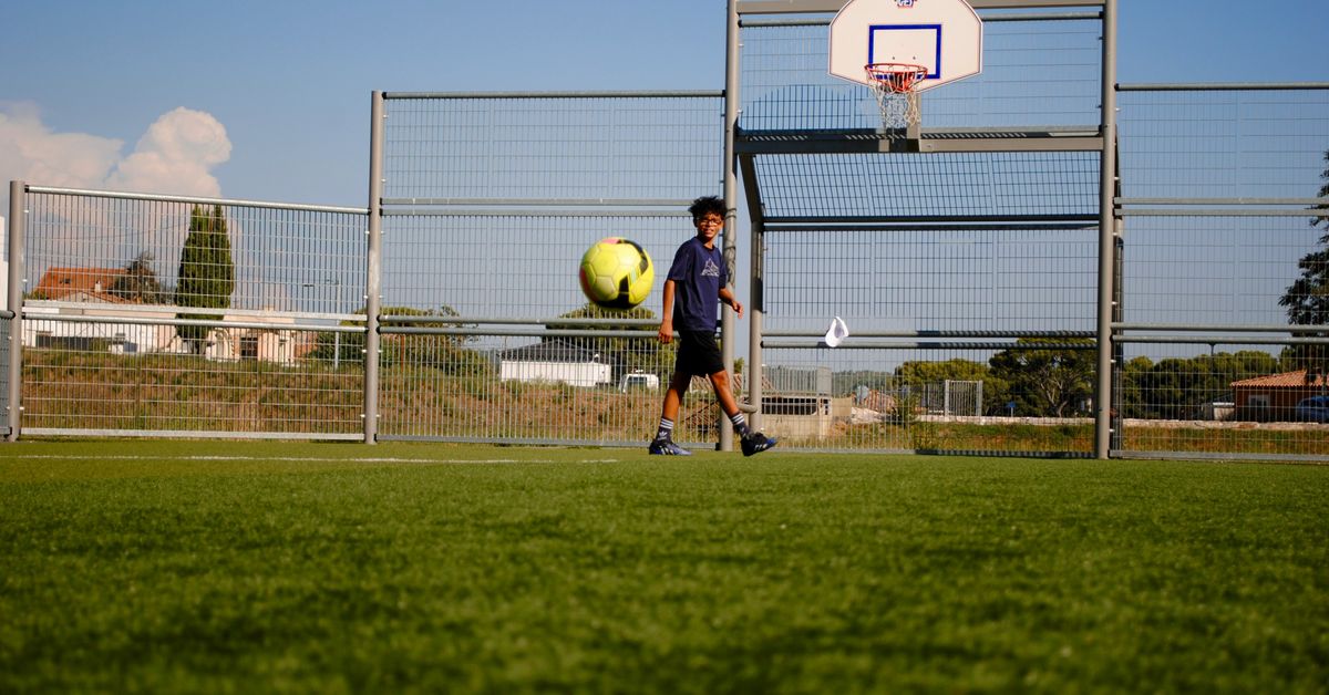 College Athletes Balancing Academics and Sports Success Stories