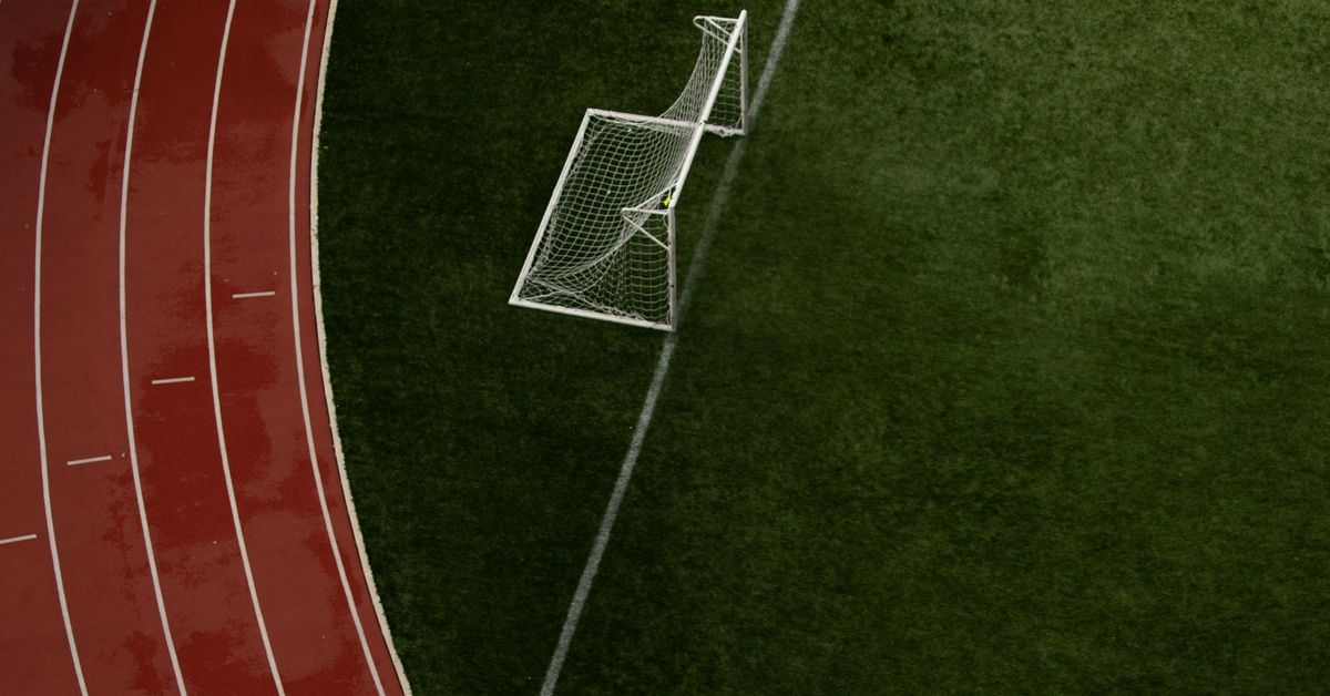 Globalization and Its Impact on Local Sports