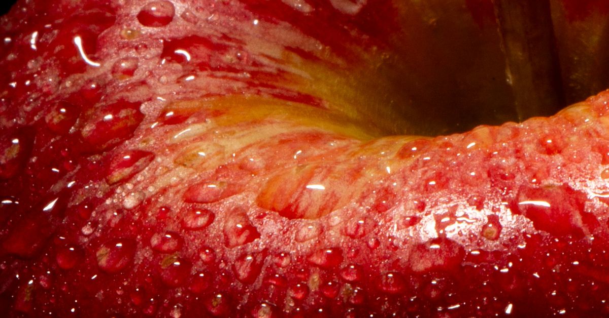 Innovations in Sports Nutrition Products